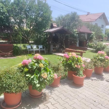 Casa Cornelia Hotel Törcsvár Kültér fotó