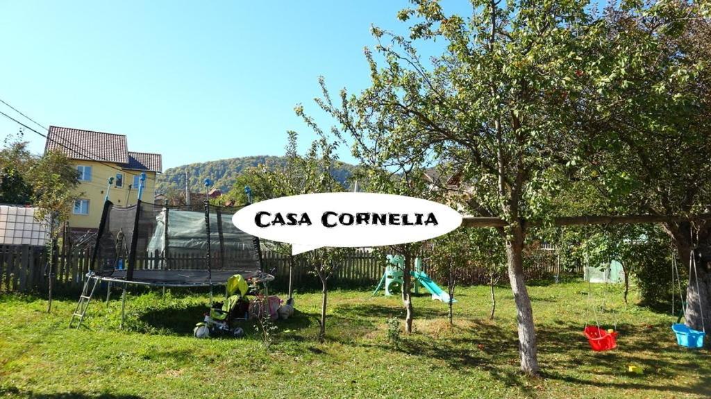 Casa Cornelia Hotel Törcsvár Kültér fotó