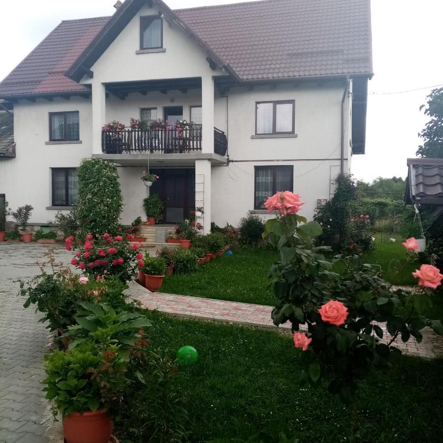 Casa Cornelia Hotel Törcsvár Kültér fotó