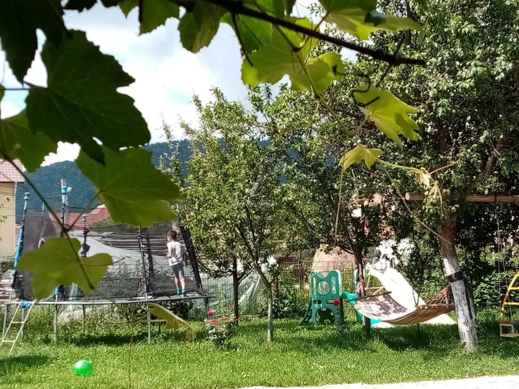 Casa Cornelia Hotel Törcsvár Kültér fotó