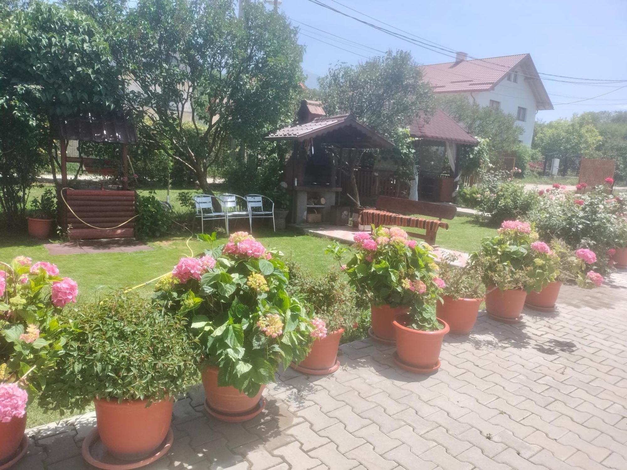 Casa Cornelia Hotel Törcsvár Kültér fotó
