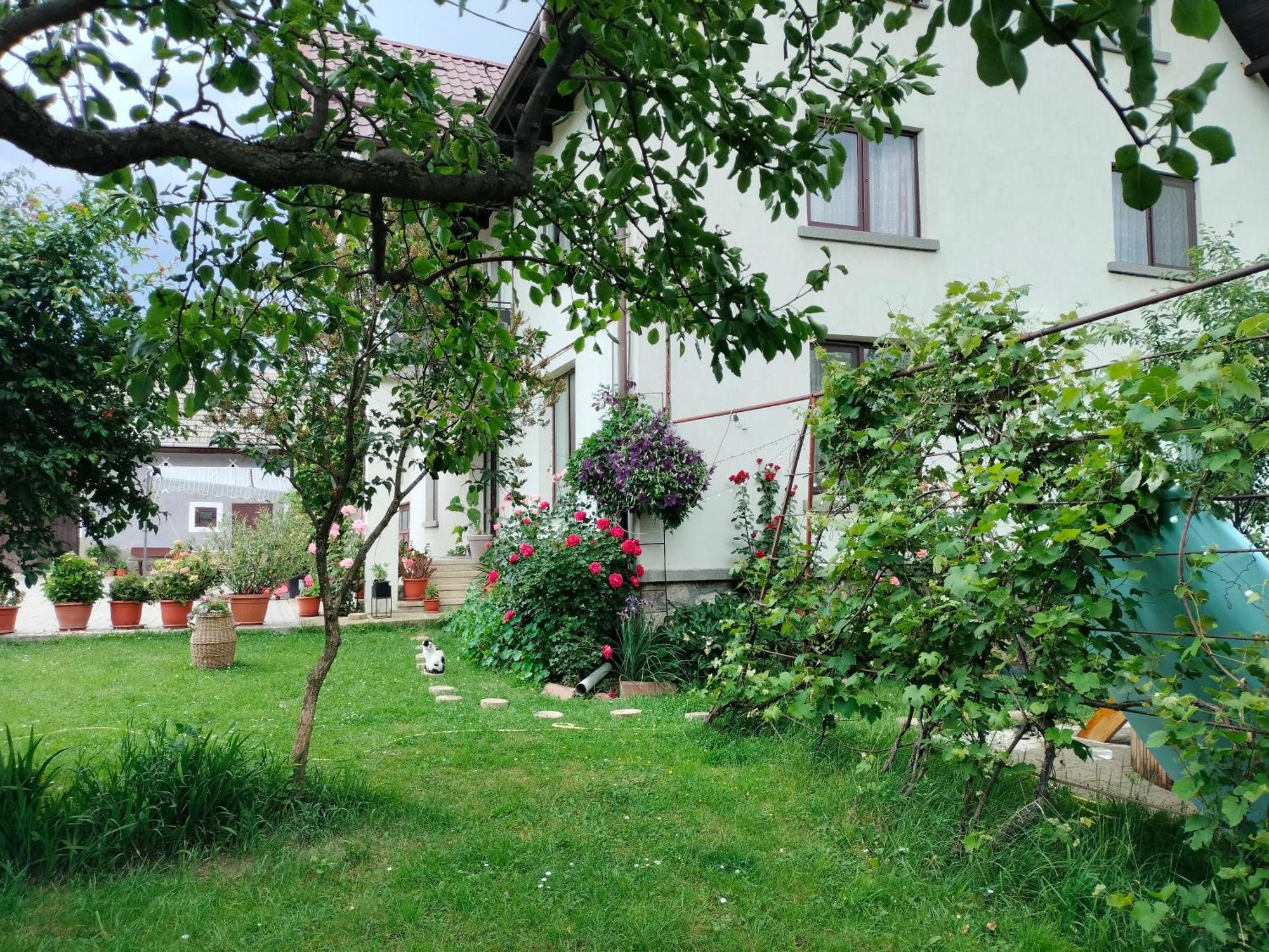 Casa Cornelia Hotel Törcsvár Kültér fotó